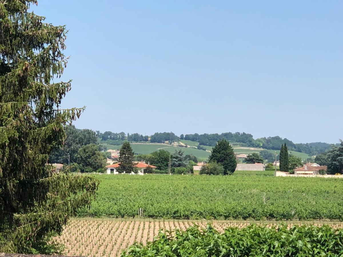 Saint-Sulpice-de-Faleyrens Clos De Bertinat מראה חיצוני תמונה