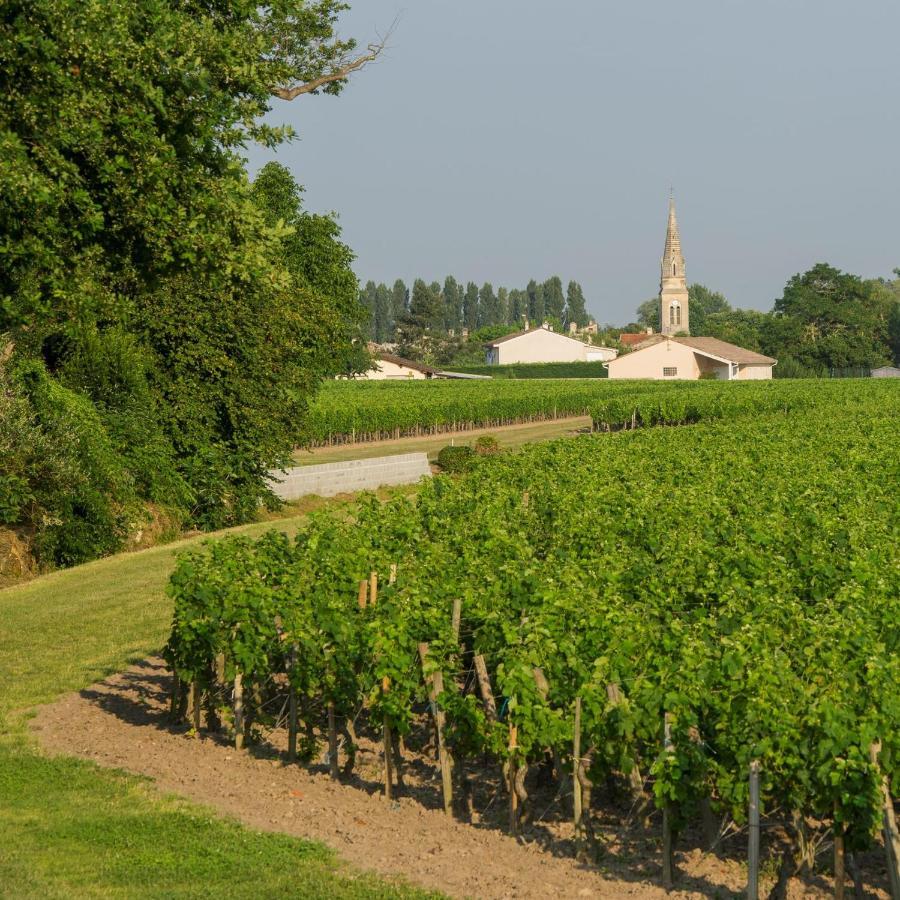 Saint-Sulpice-de-Faleyrens Clos De Bertinat מראה חיצוני תמונה