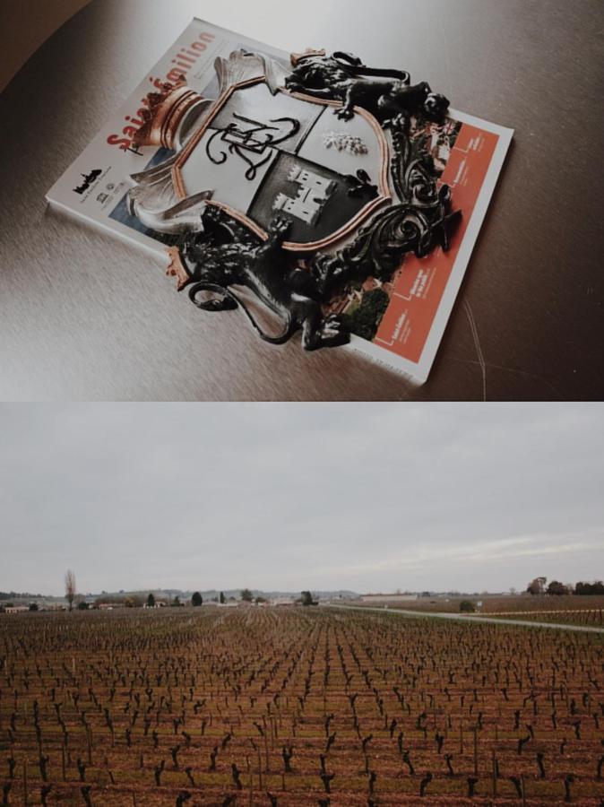 Saint-Sulpice-de-Faleyrens Clos De Bertinat מראה חיצוני תמונה