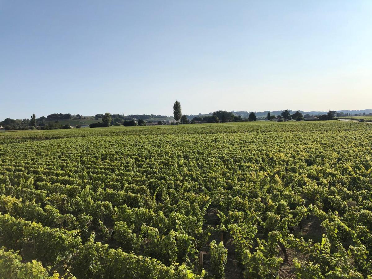 Saint-Sulpice-de-Faleyrens Clos De Bertinat מראה חיצוני תמונה